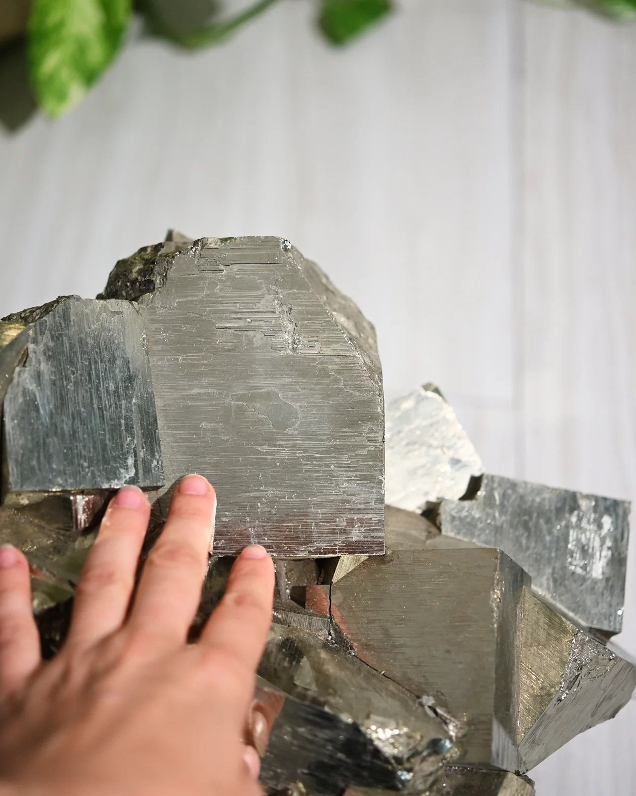 92lb Massive Pyrite Statement Cluster - Image 9