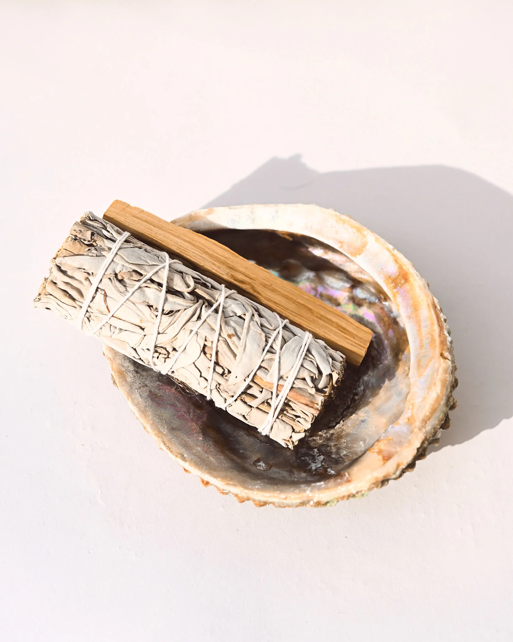 Abalone Shell - Image 3