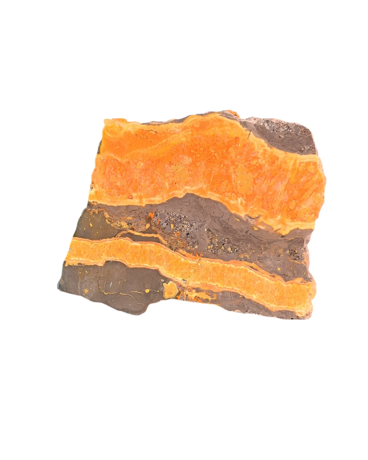 Bumblebee Jasper Slab - Image 4