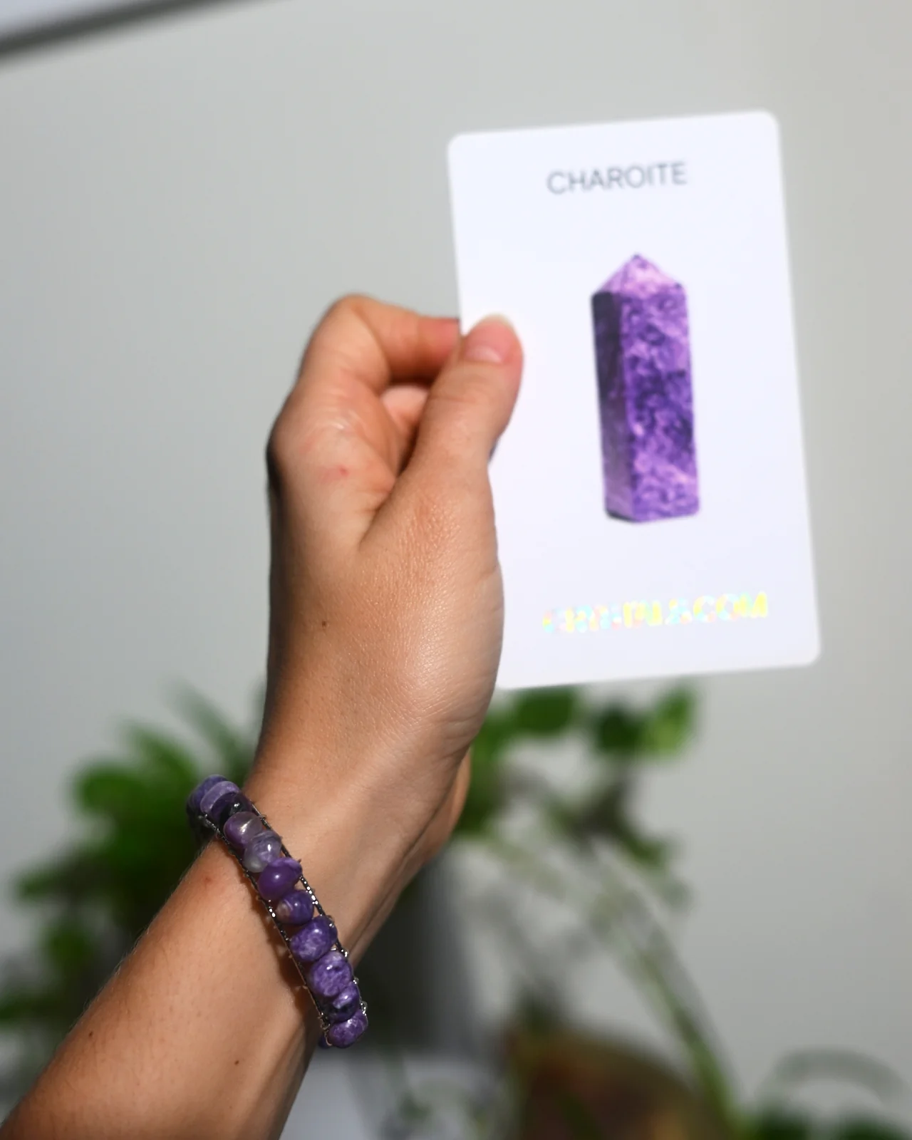 Charoite Bangle - Image 2