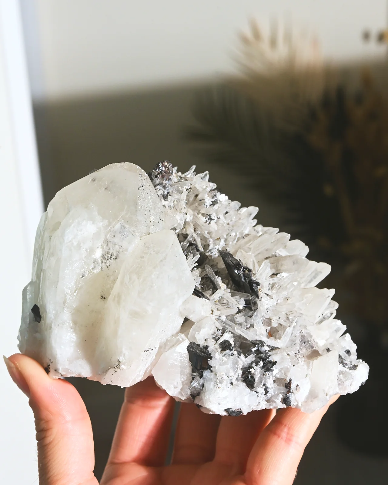 Hubnerite with Quartz 4inch - Image 4