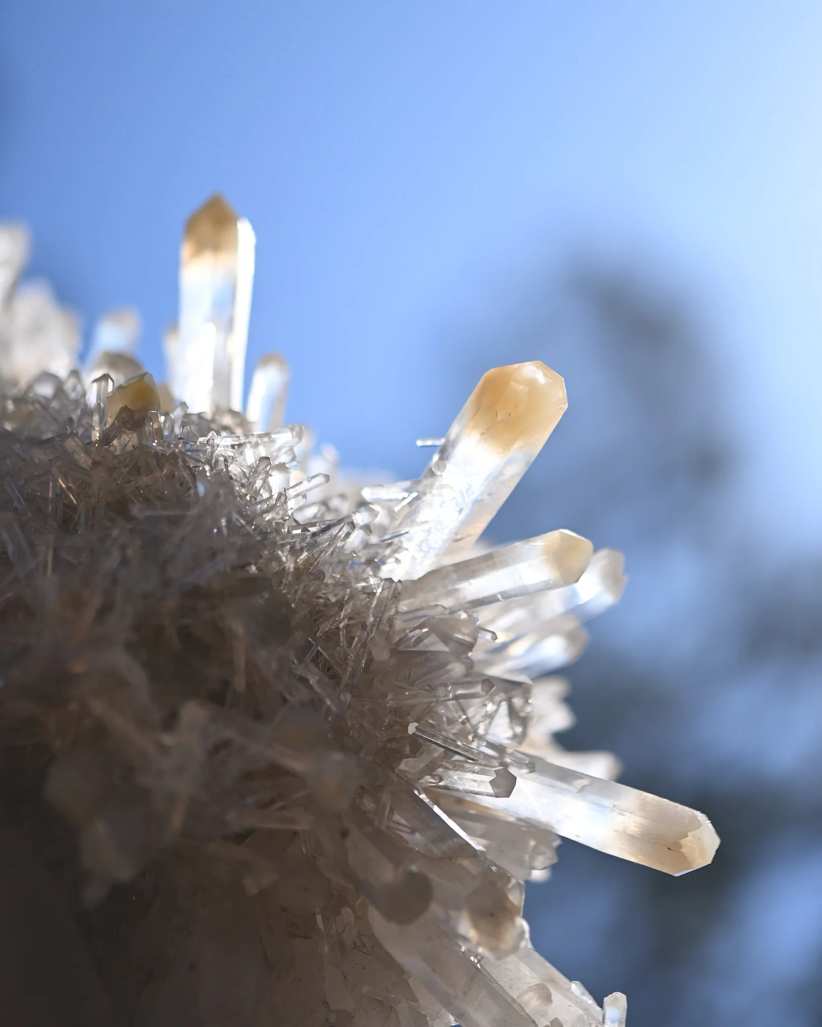 Mango Quartz Lemurian Cluster – Colombia - Image 9