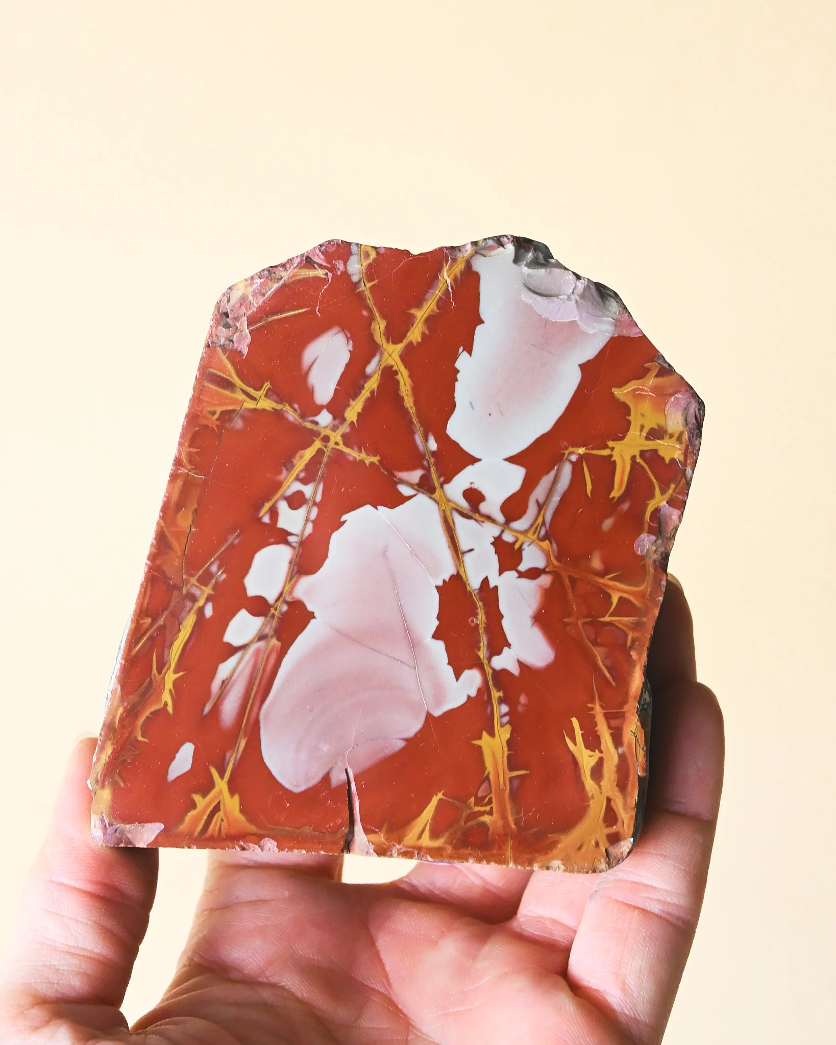 Noreena Jasper Slab – Australia
