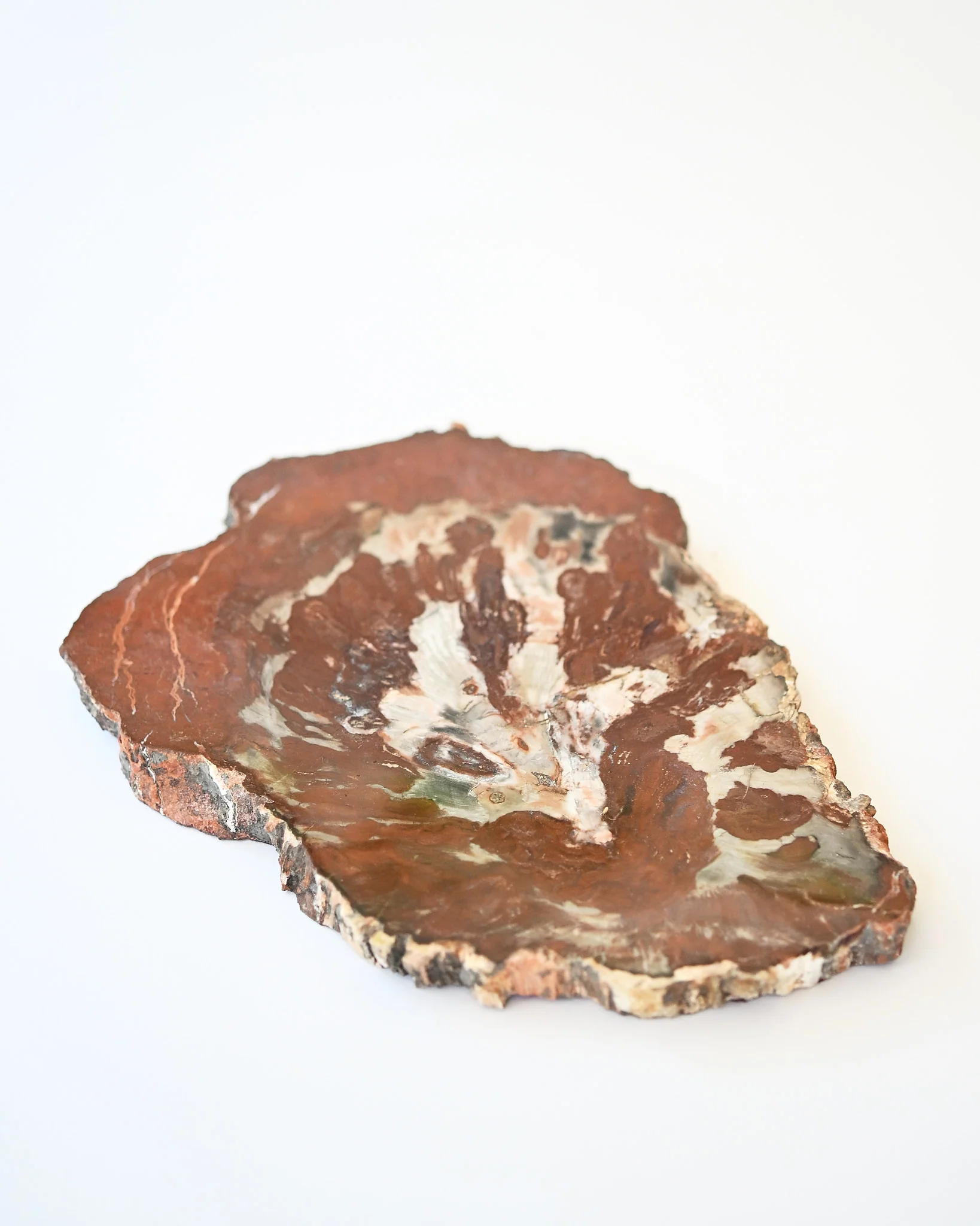 Rare Red Petrified Wood Slab 2.6lbs - Image 7
