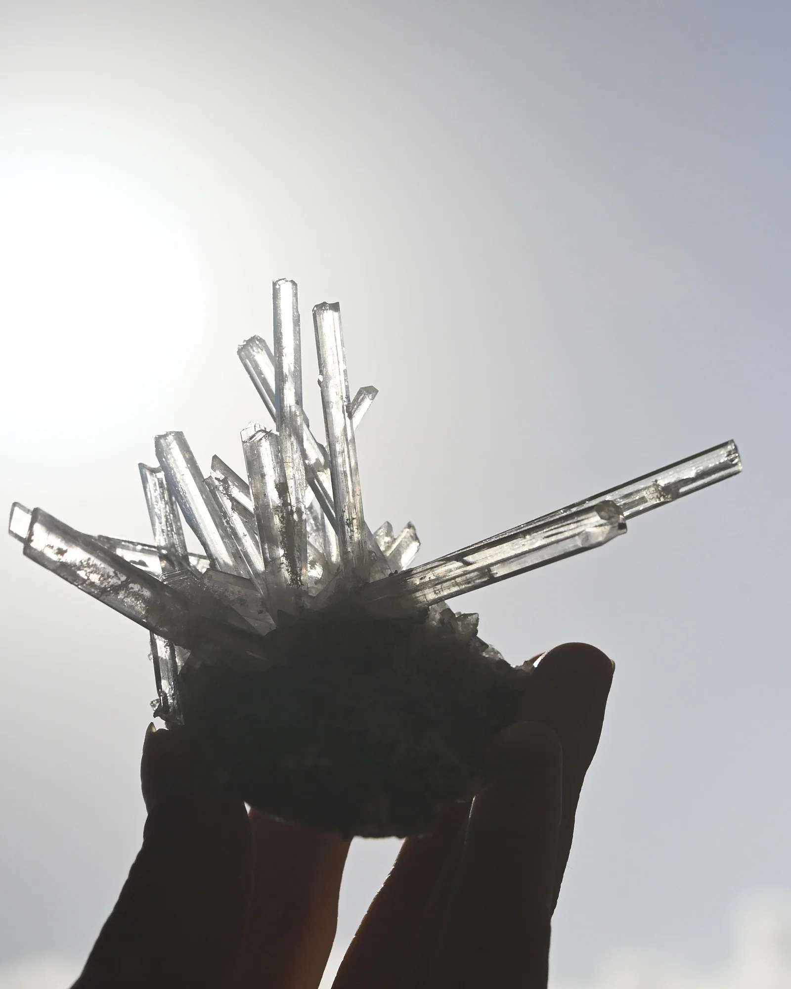 Selenite Crystal Cluster Platosa Mine, Durango, Mexico - Image 3