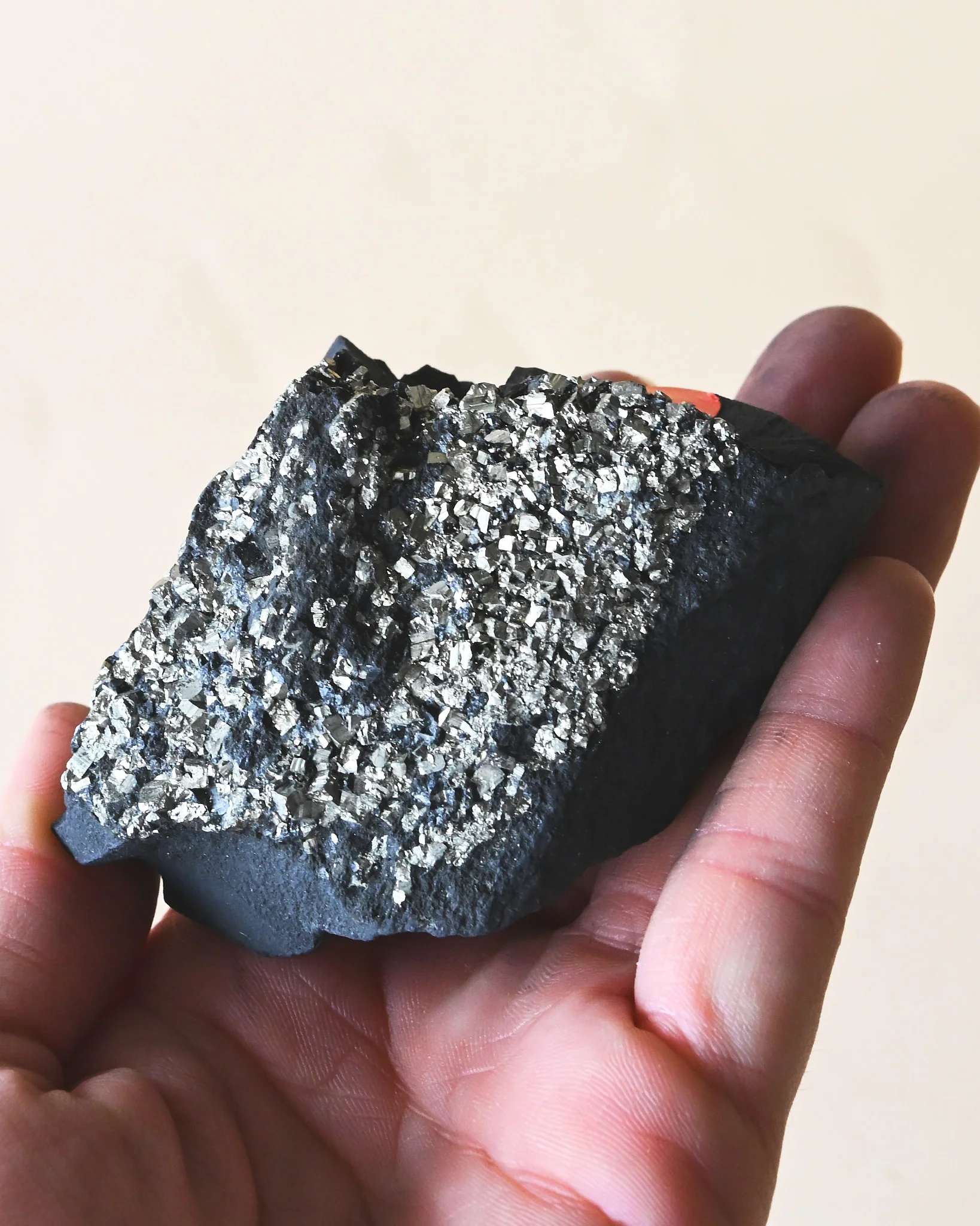 Shungite with Pyrite Rough Specimen