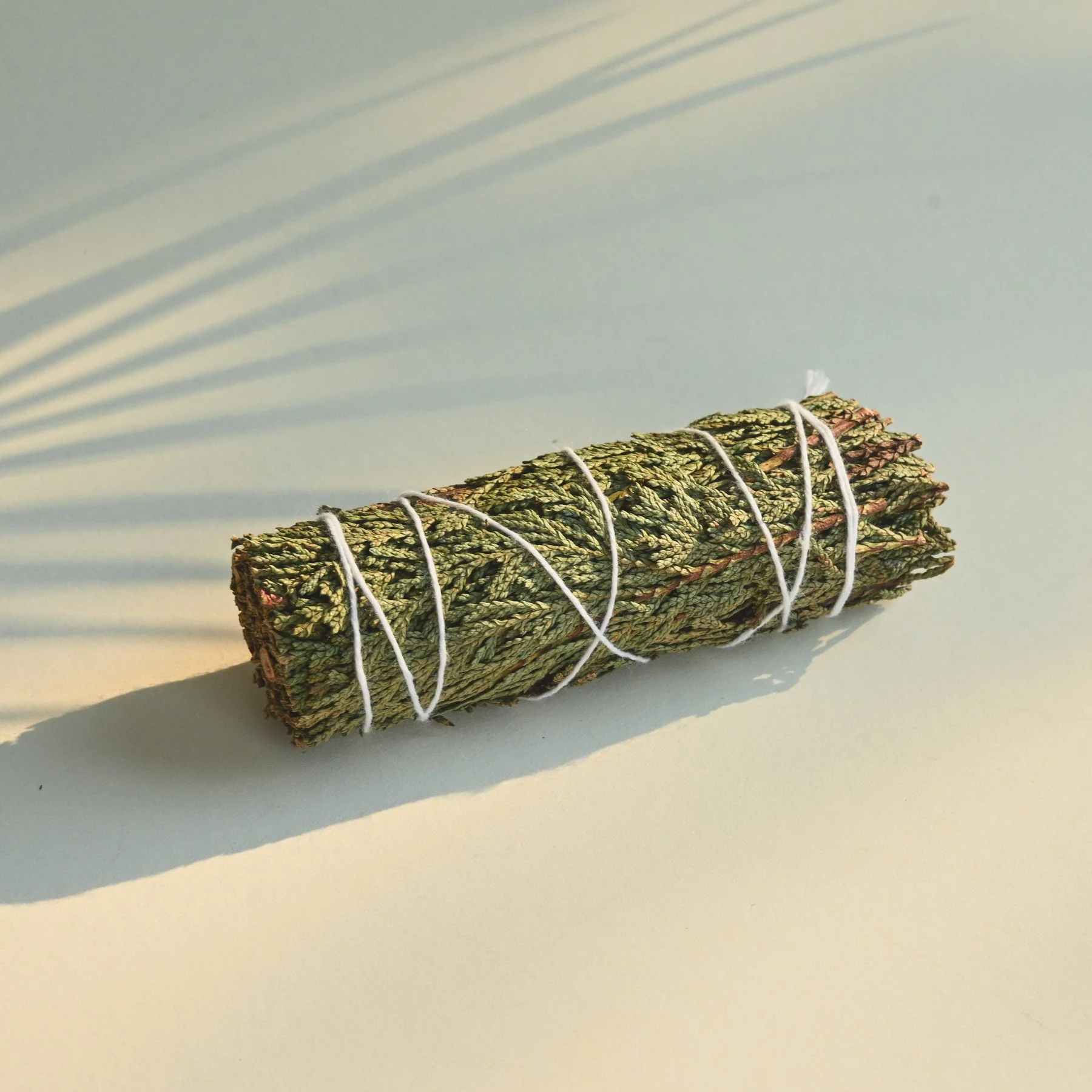 Energy Cleanse Kit - Image 3