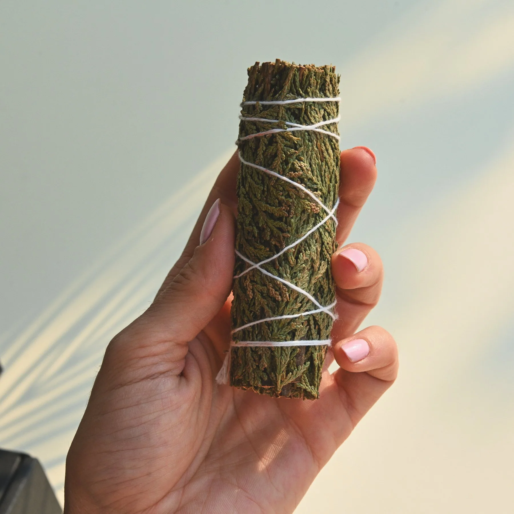 Energy Cleanse Kit - Image 7