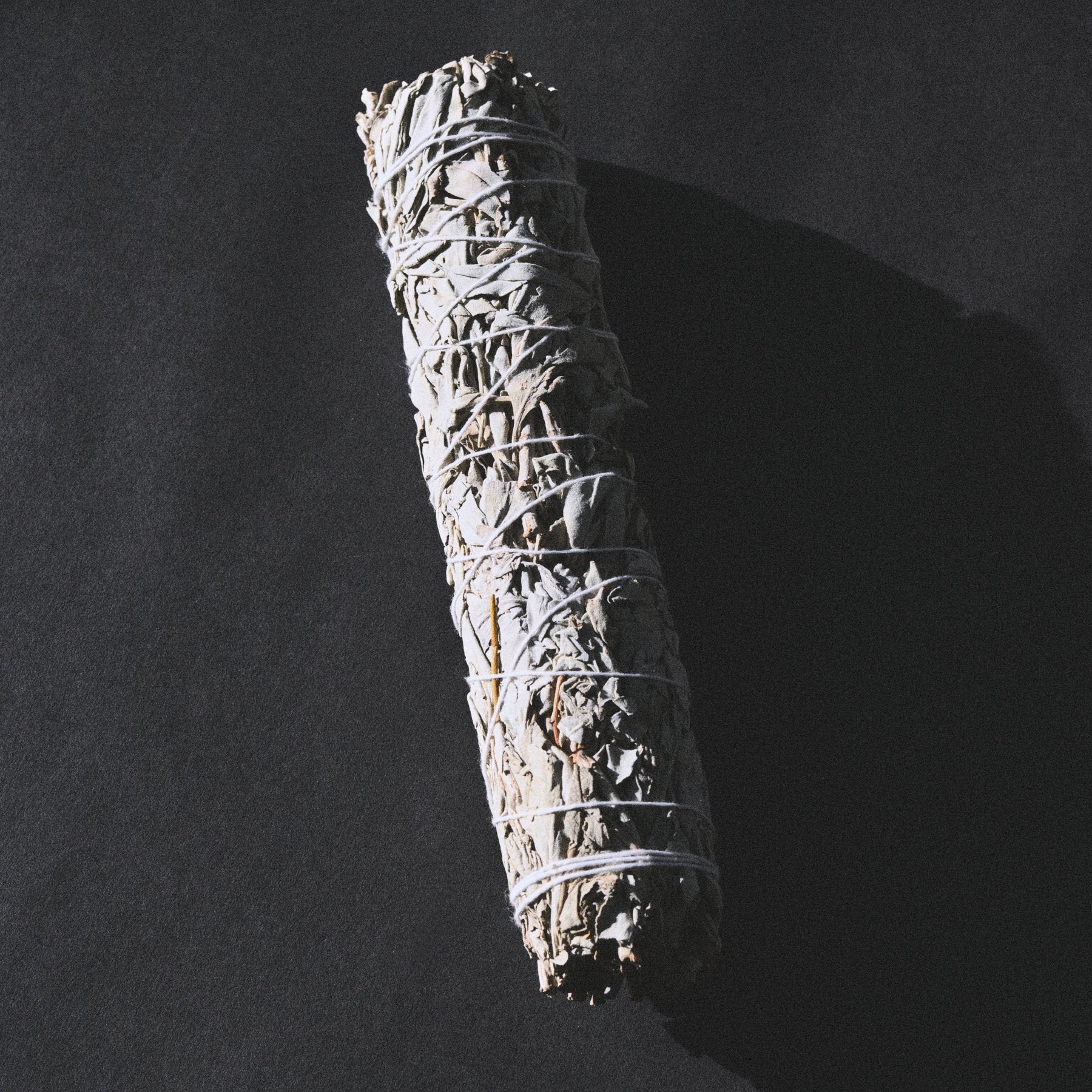 White Sage Bundle - Image 5