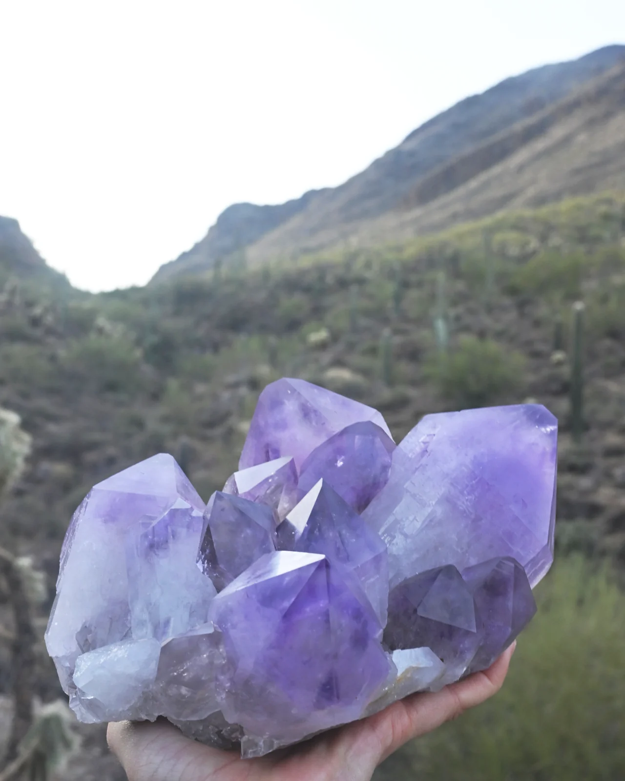 Statement Bolivian Amethyst Cluster 8lb - Image 11
